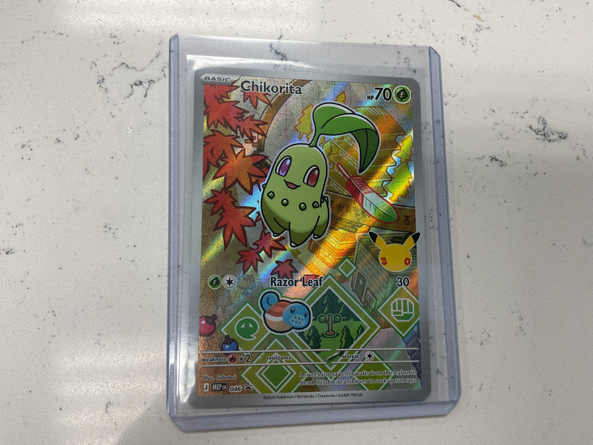 Chikorita First Partners 046